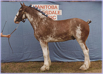 Hatfield Mack as a three year old